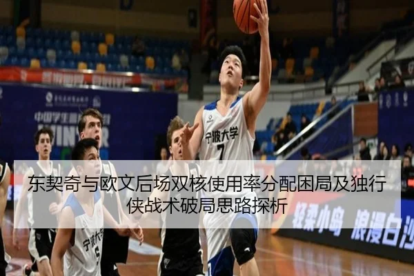 东契奇与欧文后场双核使用率分配困局及独行侠战术破局思路探析