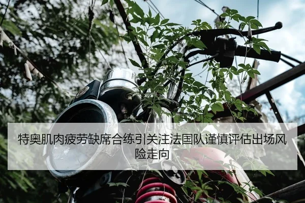 特奥肌肉疲劳缺席合练引关注法国队谨慎评估出场风险走向
