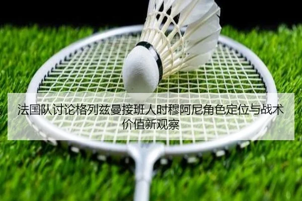 法国队讨论格列兹曼接班人时穆阿尼角色定位与战术价值新观察